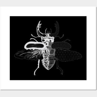 Geometric Beetle Clear Posters and Art